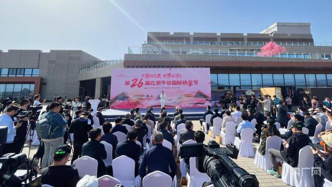 小罗直播平台：跨越时空的NBA激情体验与便捷观赏之旅